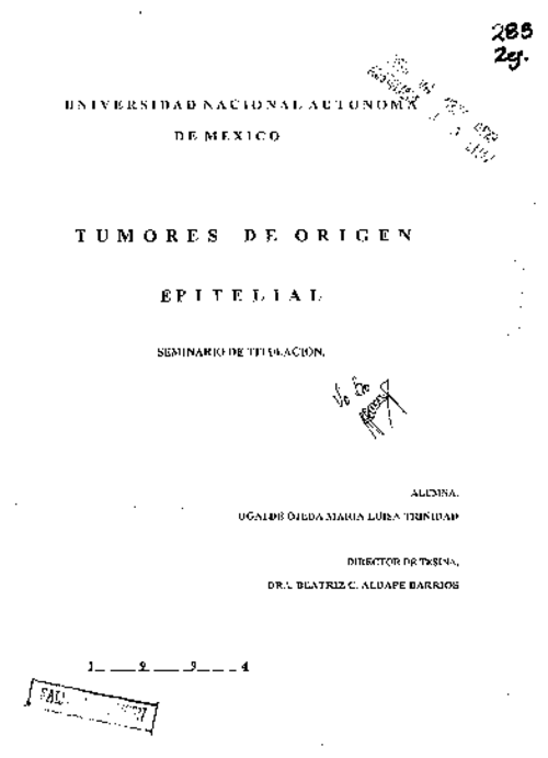 Portada_16289_licenciatura.png