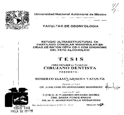 Portada_12771_licenciatura.png