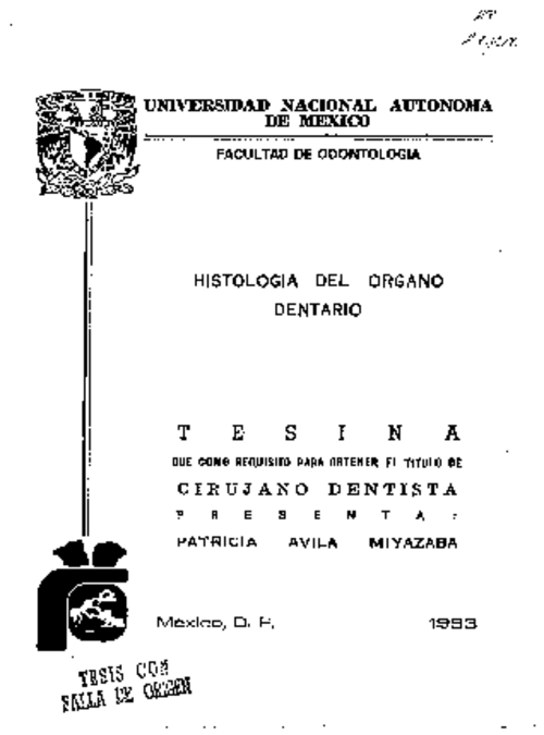 Portada_3384_licenciatura.png