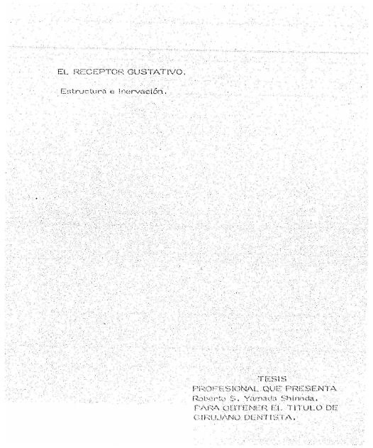 Portada_1597_licenciatura.png