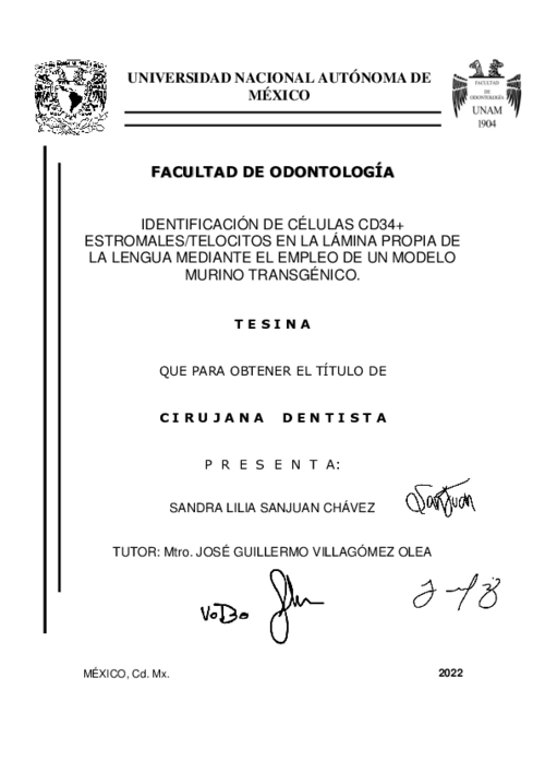 Portada_231_licenciatura.png