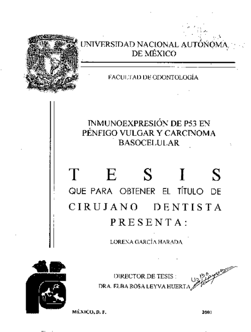 Portada_14799_licenciatura.png