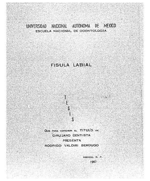 Portada_20710_licenciatura.png