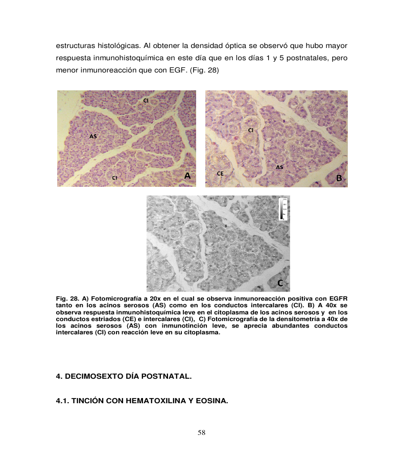 Portada_14183_licenciatura.png