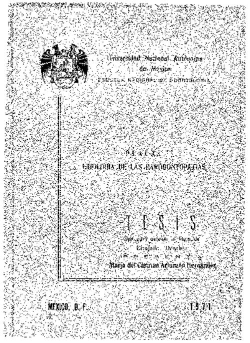 Portada_21051_licenciatura.png